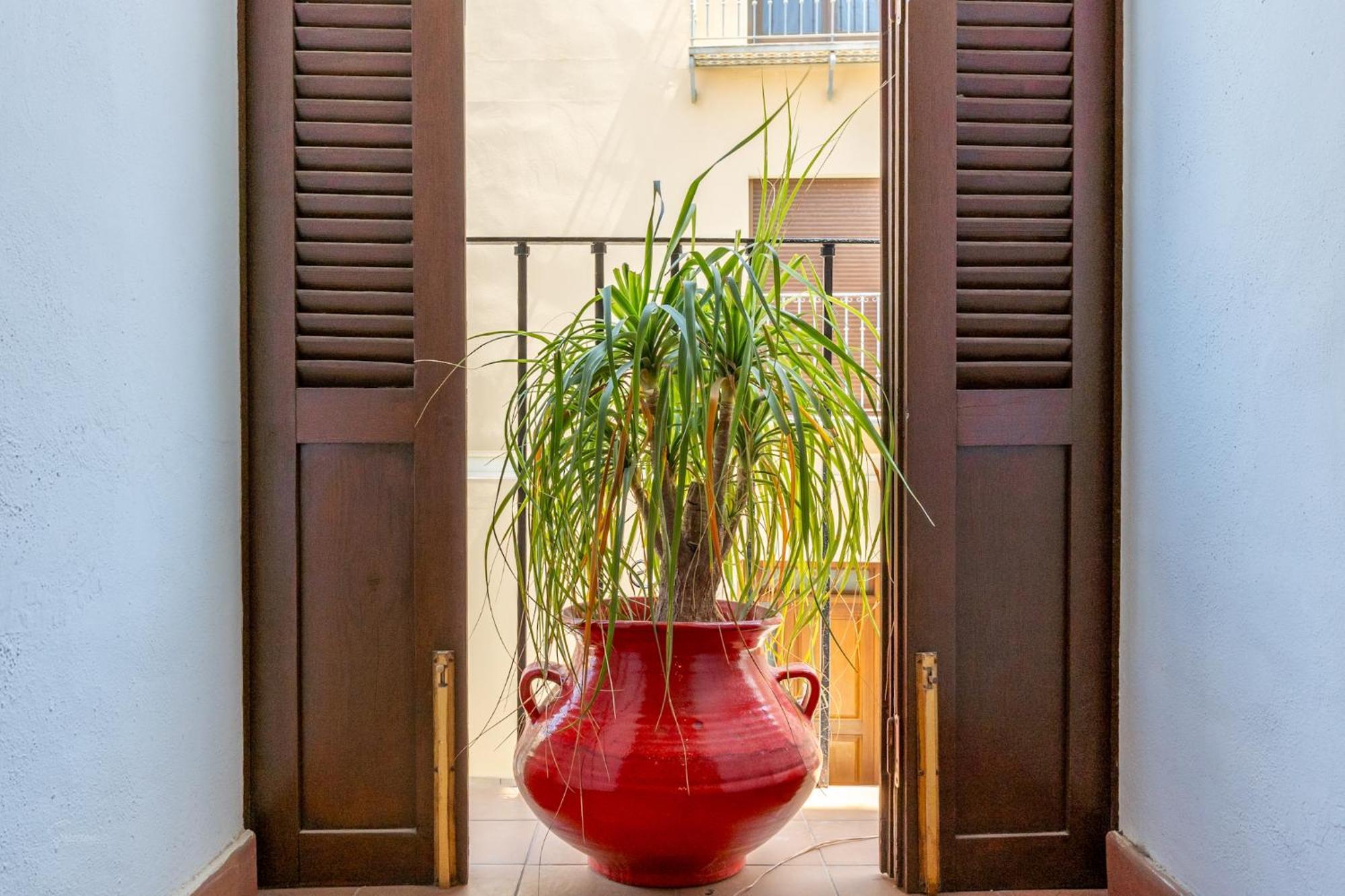 Apartmán Denia Townhouse Exteriér fotografie